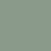 Forest Fog