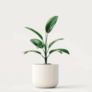 Home product 04